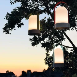 Leuchten><noscript><img width=