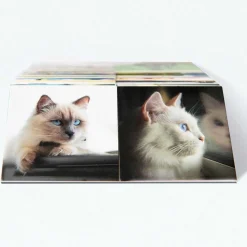 Gedächtnisspiele><noscript><img width=